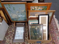A box containing a large quantity of assorted framed pictures, framed butterfly specimen,