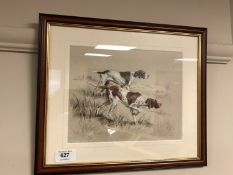 David Thompson : English Pointers, limited edition colour print, 24 x 19 cm,