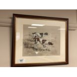 David Thompson : English Pointers, limited edition colour print, 24 x 19 cm,