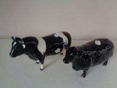 A Beswick Aberdeen Angus cow, black,