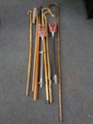 A bundle of shepherd's crooks together with two shooting sticks