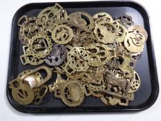 A tray containing a quantity of horse brasses