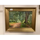 Continental school : A woodland track, oil on canvas, 36 x 26 cm,