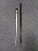 A 19th century sword stick with brass lion mask pommel