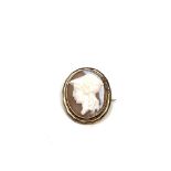 A rolled gold antique cameo brooch