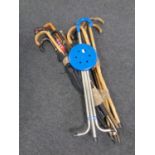 Two bundles of assorted walking sticks and umbrellas to include walking cane with silver pommel