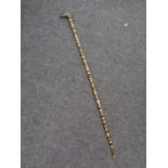 A vintage banded horn walking stick with brass dog's head handle