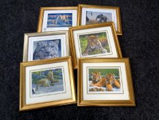 A group of six gilt framed Steven Gayford wildlife signed limited edition prints