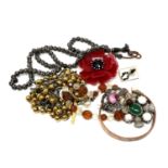 A small quantity of costume jewellery, brooch, necklaces,