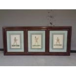 A large set of three framed boxing prints