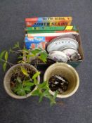 Two glazed pottery plant pots together with box of dinner ware, plated wares,