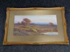 20th century school, Wareham common, oil, indistinctly signed, framed.