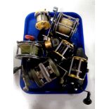 A tray containing a quantity of multiplier fishing reels to include Kogha, Penn no.