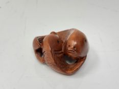 A carved Chinese hardwood netsuke - Two carp