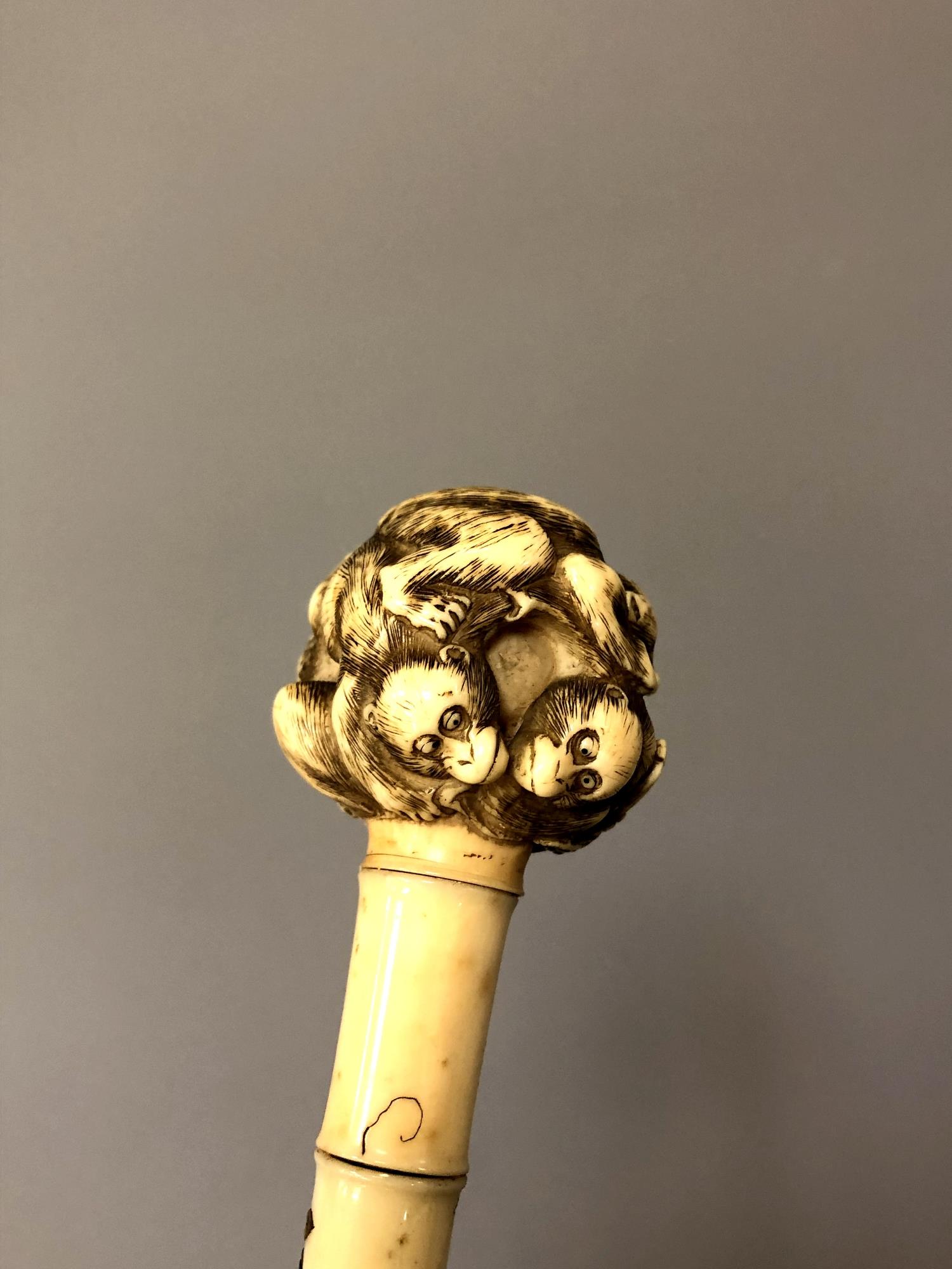 A late 19th century parasol with ivory inlaid stem decorated with vines and beetles, - Image 5 of 5