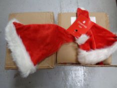 A box containing a quantity of Christmas hats