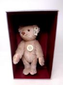 A Steiff 1925 replica Teddy Rose mohair teddy bear in box