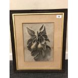 T Rutherford (19th century) charcoal sketch of pears on a branch, signed and dated 1875.