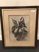 T Rutherford (19th century) charcoal sketch of pears on a branch, signed and dated 1875.