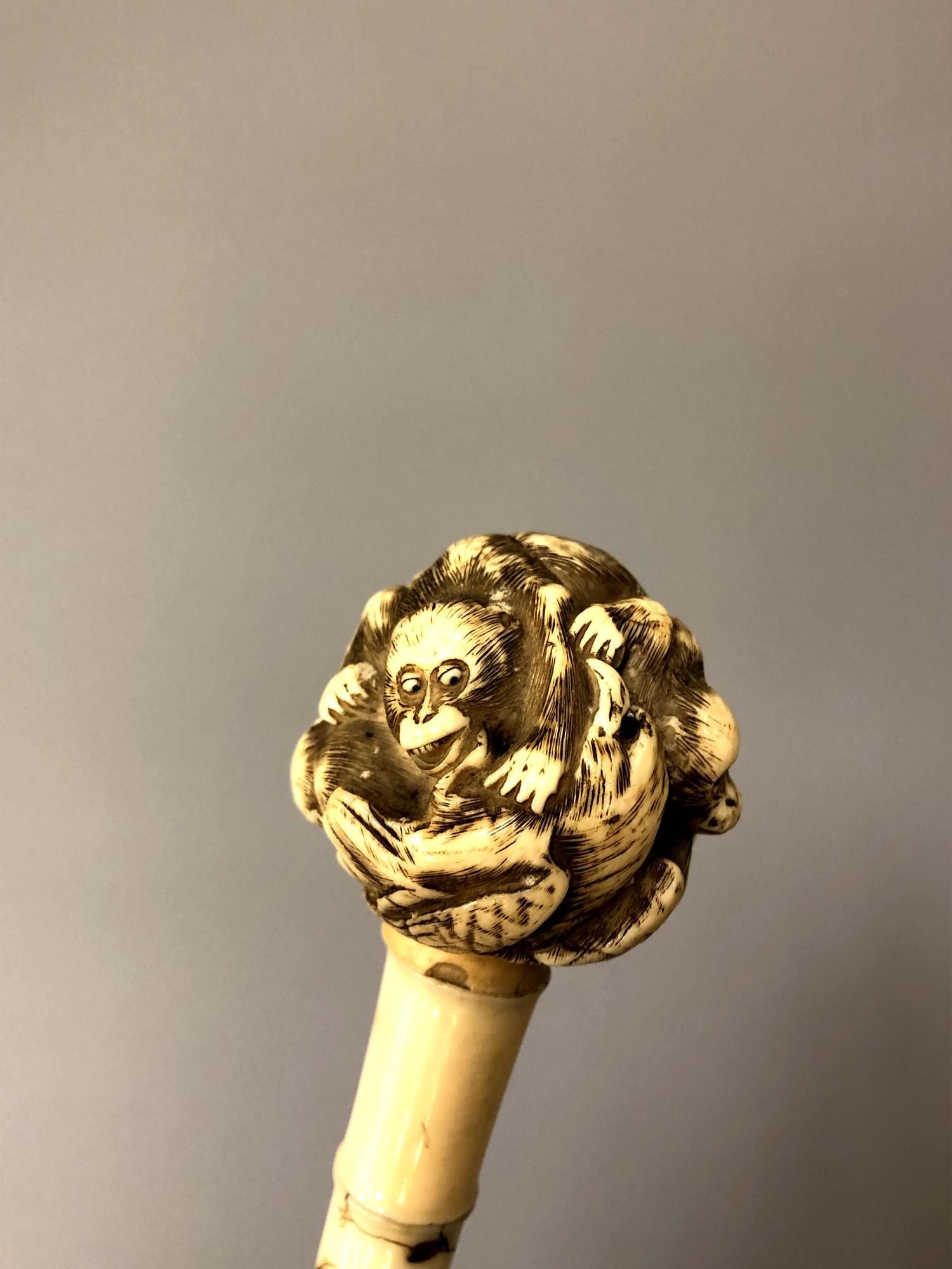 A late 19th century parasol with ivory inlaid stem decorated with vines and beetles, - Image 4 of 5