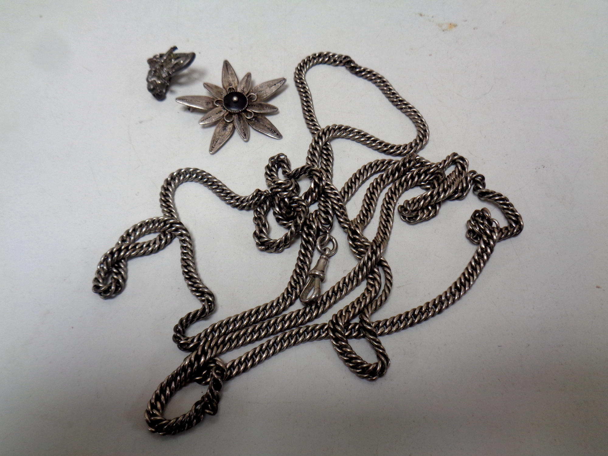 A very long white metal guard chain,