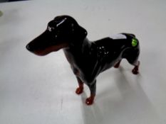 A Beswick figure of a doberman