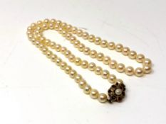 A strand of Mikimoto pearls, on 9ct gold clasp, length 45 cm,