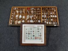 A printers tray and a display frame containing a sea shell collection