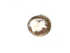 A rolled gold antique cameo brooch