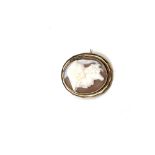 A rolled gold antique cameo brooch