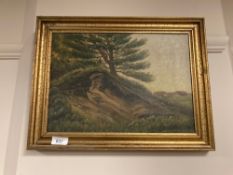 Continental school : Trees by a grassy hill, oil on canvas,