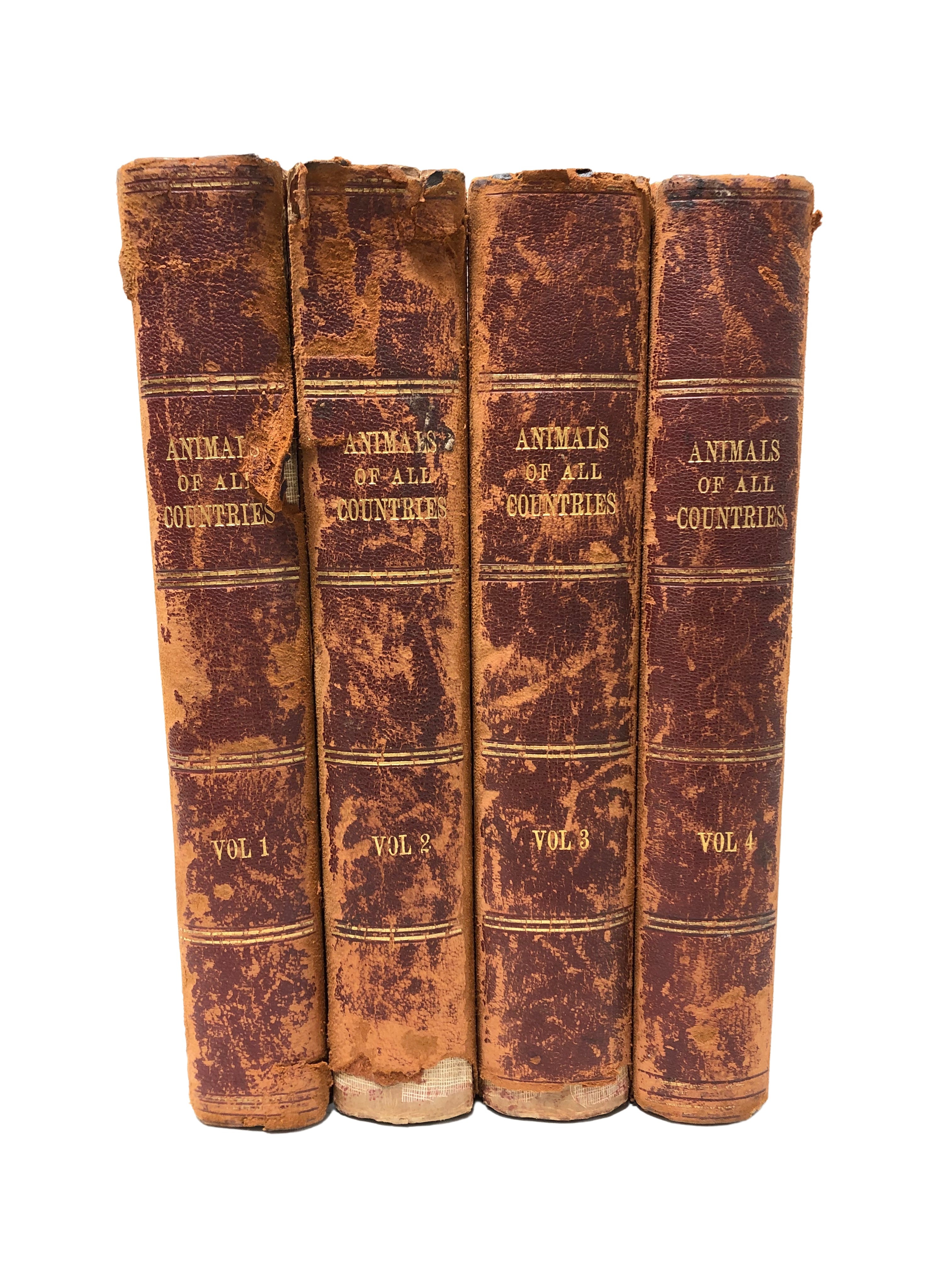 Hutchinson & Co (Publisher) : Animals of All Countries, a set of four volumes.