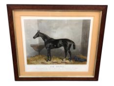 After Harry Hall : Sir Bevys, Winner of the Derby Stakes at Epsom 1879 - The Property of Mr Acton,