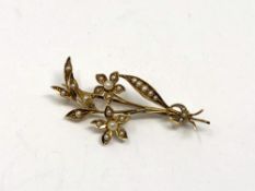 An antique 15ct gold pearl brooch, 3.5g.