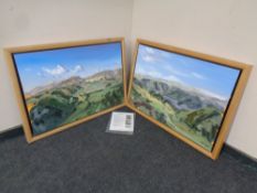 Two Chris McLoughlin abstract landscape oils on canvas, Thirlmere and Thirlmere Valley, framed,