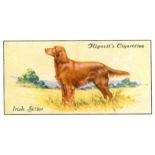 HIGNETT, Dogs, complete, EX, 50