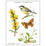 PLAYERS, A Nature Calendar, complete, large, EX, 24