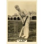 PHILLIPS, Cricketers (brown), large (59 x 83mm), Nos. 10-12 & 14 (all Victoria), 15 (South