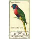 C.W.S., Parrots, No. 8, corner knocks, VG