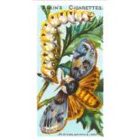 ADKIN, Butterflies & Moths, complete, EX, 50