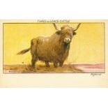 LEMCO, Types of Cattle, complete, postcards, VG, 6