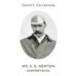 TADDY, County Cricketers, Mr. A.E. Newton (Somersetshire), Grapnel back, VG