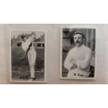 J.F. COLLECTIBLES, cricket, complete & part subsets, issues from 2010-2012, in modern album, EX to