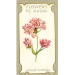 LEA, Flowers to Grow - The Best Perennials, complete, VG to EX, 50