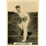 PHILLIPS, Cricketers (brown), large (59 x 83mm), all English, Vg to EX, 10