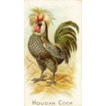 ALLEN & GINTER, Prize & Game Chickens, complete, VG to EX, 50