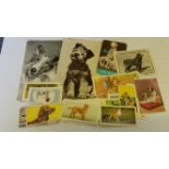 TRADE, dog odds, inc. Pascall, Melox, Molassine, Red letter, Cadet, Horniman, Priory, Edwards & Son,