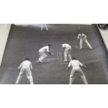 CRICKET, photos, inc. 1953 Ashes, Hassett, Bedser, Bailey, Simpson; action shots, crowds etc., no