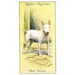 OGDENS, Dogs, complete, VG to EX, 50