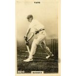 PHILLIPS, Cricketers (brown), Nos between 82-102, standard, VG to EX, 18